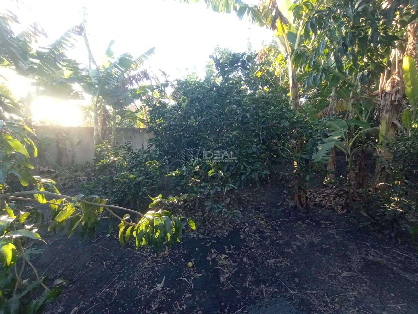 Casa à venda com 3 quartos, 2 banheiros, 4 vagas e 150m² no Tocos, Campos dos Goytacazes (RJ) — foto 10 de 30