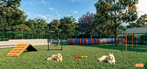 Pet Place