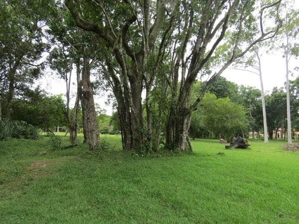 Rural à venda com 45000m² de terreno no Vargem Pequena, Florianópolis (SC) — foto 16 de 28