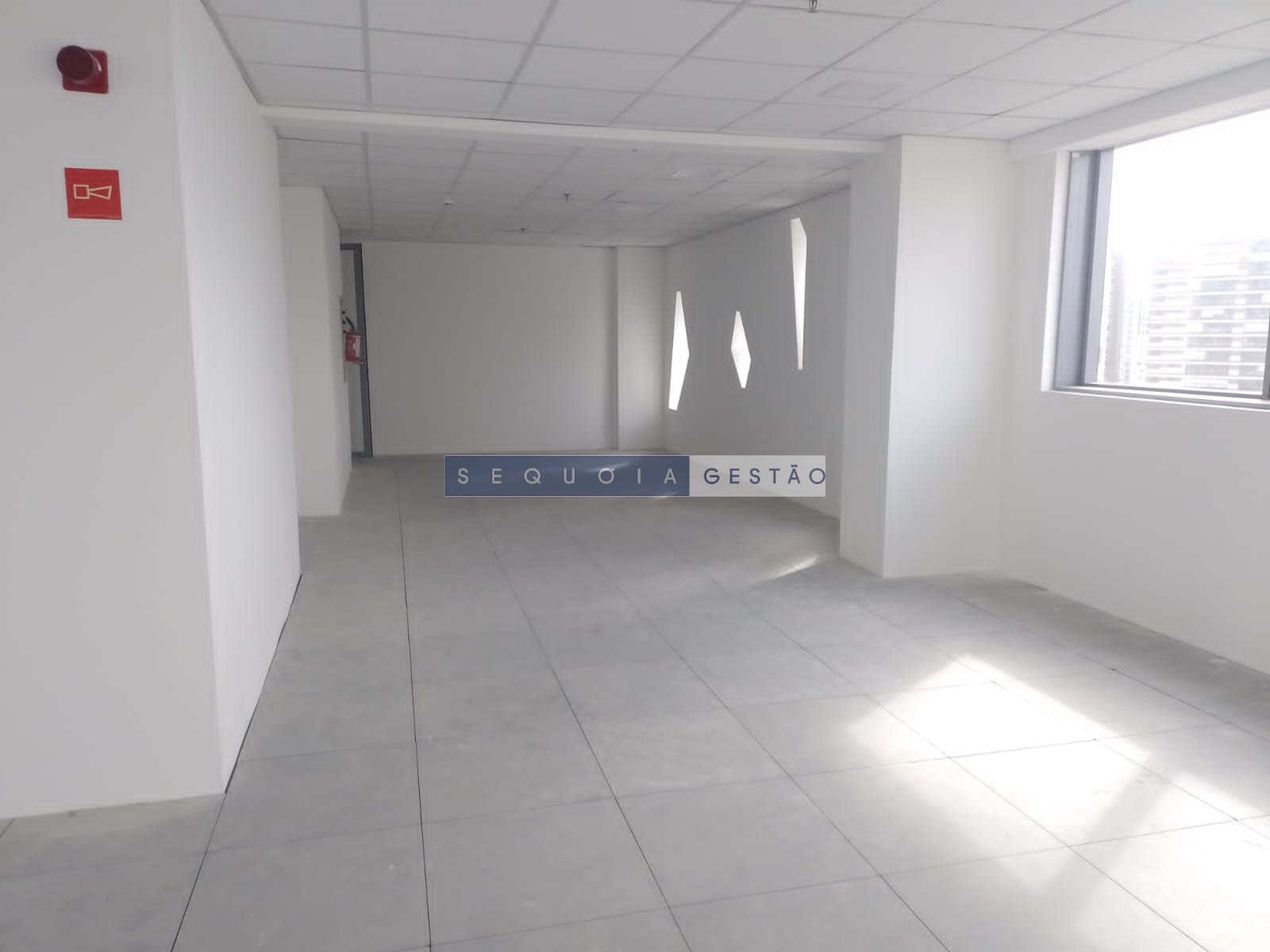 Comercial à venda com 2 banheiros, 9 vagas e 316m² no Chácara Santo Antônio (zona Sul), São Paulo (SP) — foto 5 de 16