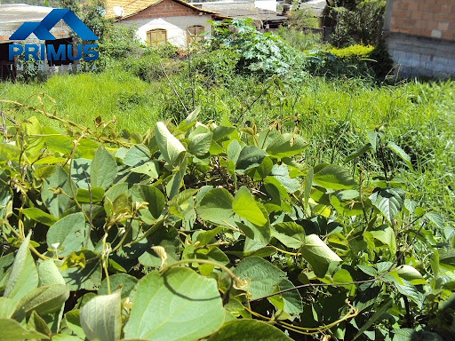 Lote construção inacabada em Vale dos Araças  -  Mateus Leme