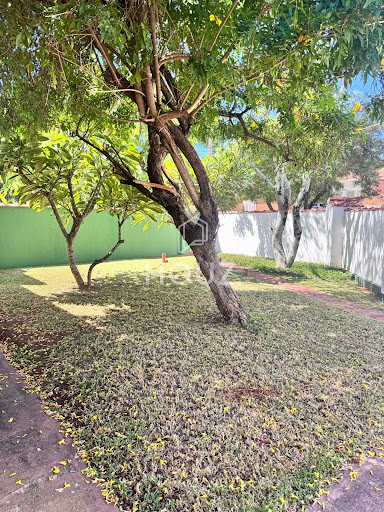 Quintal com árvores frutíferas