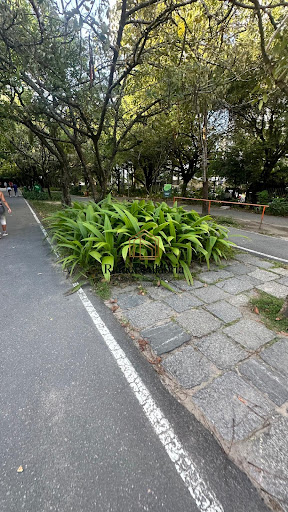 Parque Da Jaqueira a seu dispor 