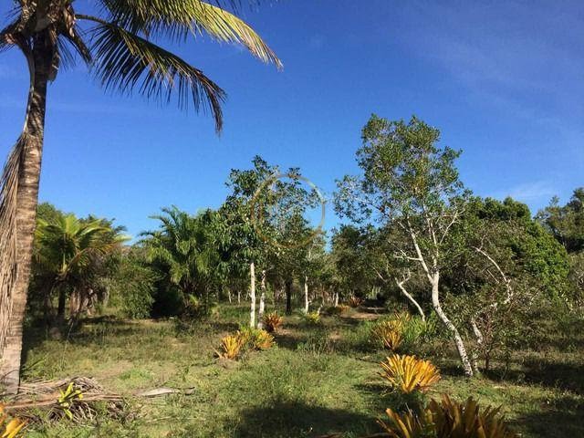 Terreno à venda com 210000m² de terreno no Trancoso, Porto Seguro (BA) — foto 11 de 18