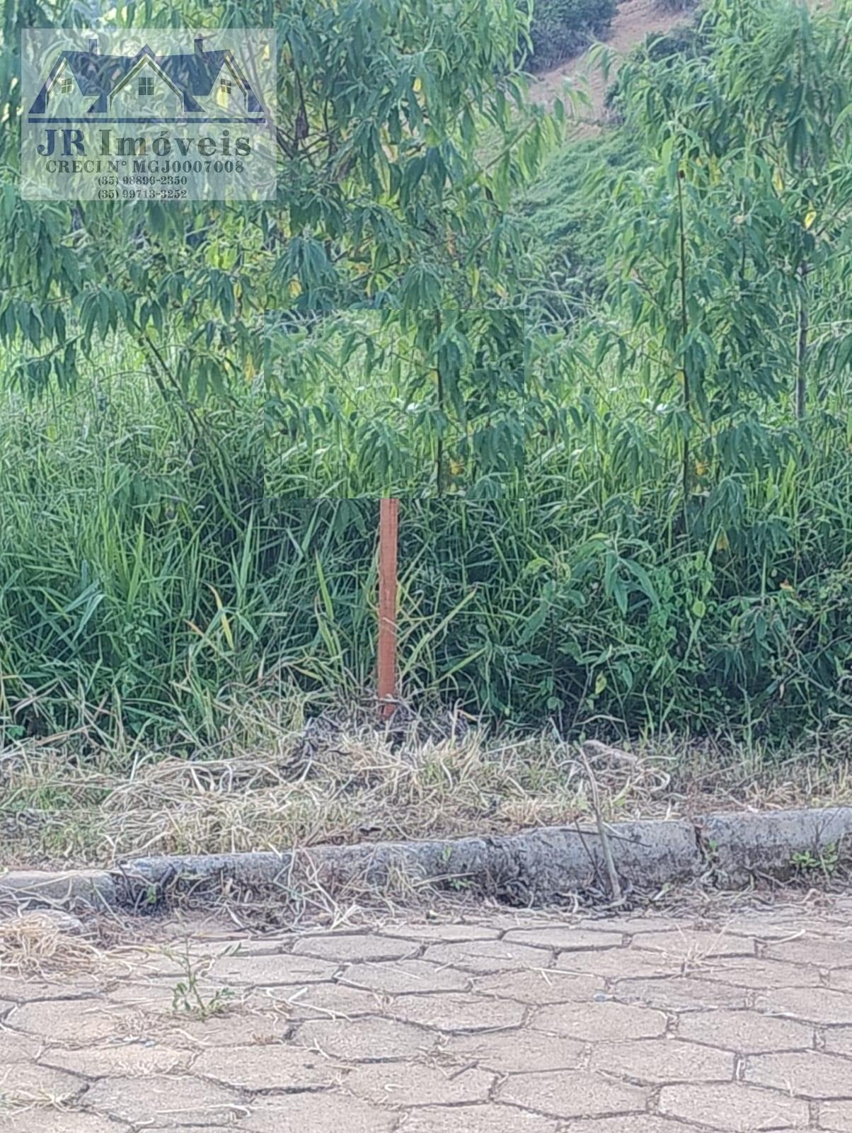 Terreno à venda no Carneiros, Piranguinho (MG) — foto 6 de 12