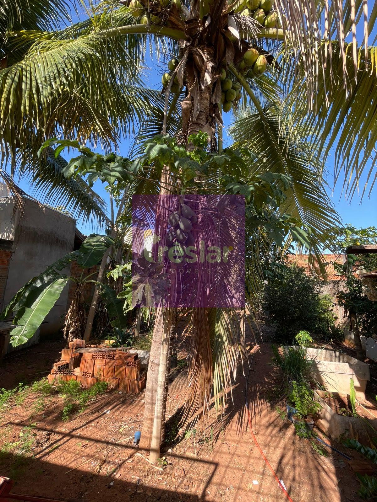 Casa à venda com 3 quartos, 1 suíte, 2 vagas e 112m² no Santa Rita, Três Lagoas (MS) — foto 2 de 16