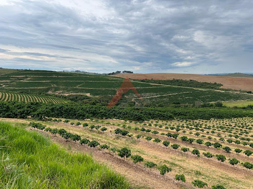 Fazenda em Capitólio-MG