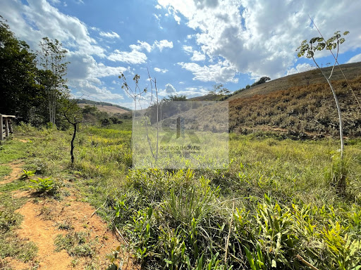 Sítio em Estrada São Diniz  -  Cataguases