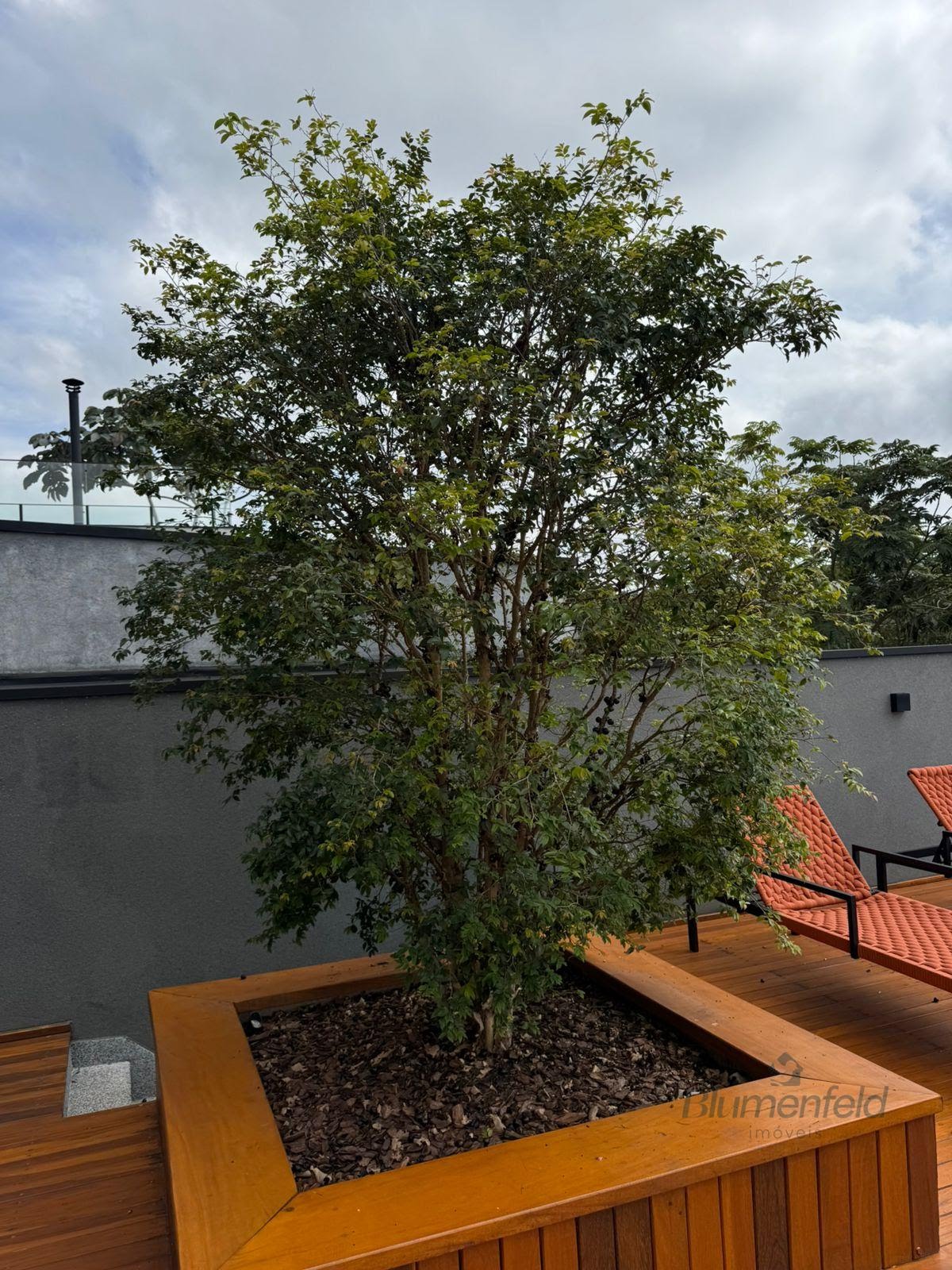 Casa à venda com 4 suítes, 6 vagas e 375m² no Ouro Fino, Santa Isabel (SP) — foto 13 de 30