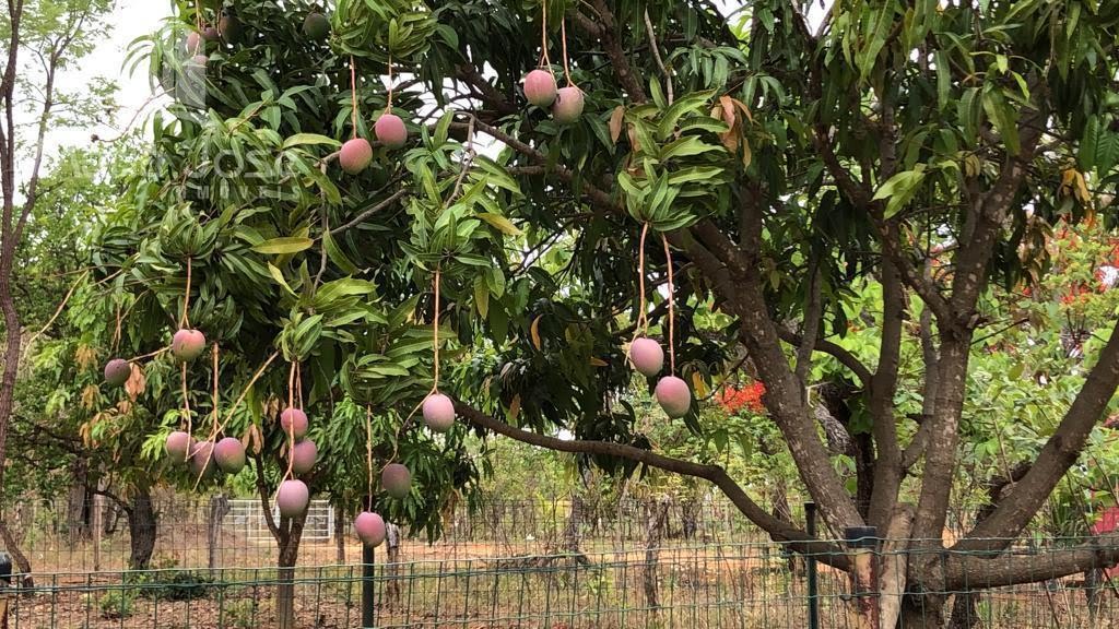 Rural à venda com 5300m² de terreno no Fazendinhas Pai José, Sete Lagoas (MG) — foto 18 de 20