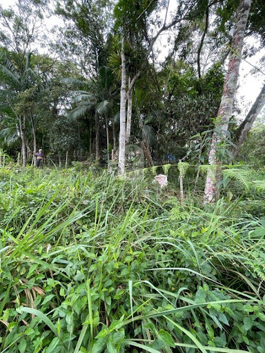 Foto 04