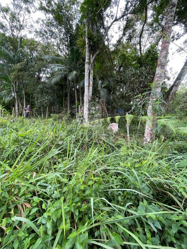 Foto 04