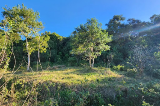 Lote / Terreno em Forquilhas  -  São José