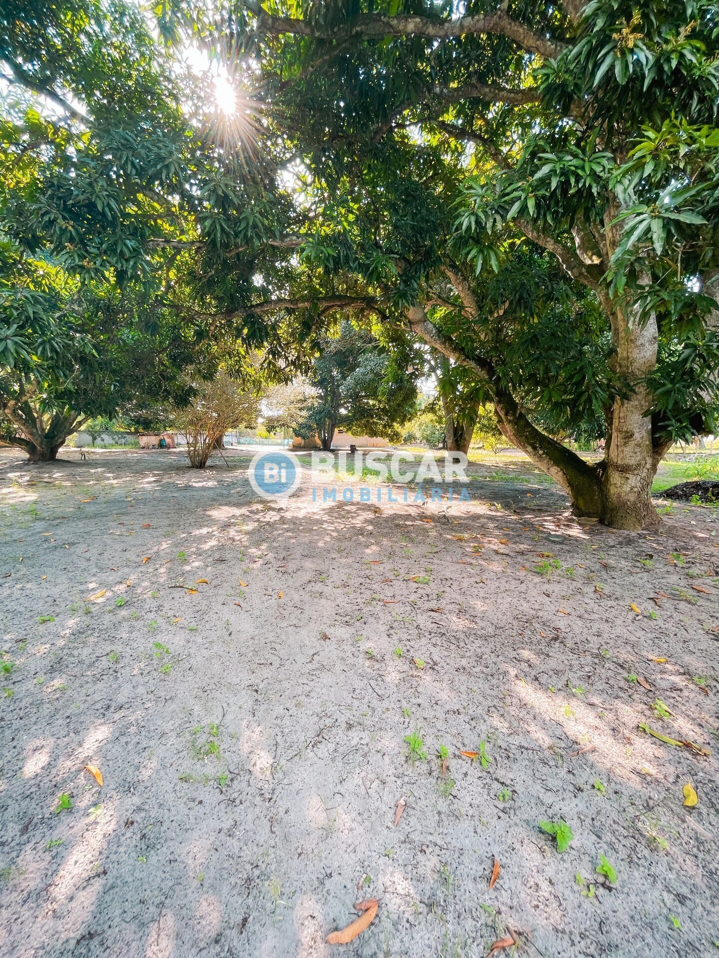 Rural à venda com 2000000m² de terreno no Rural, São Gonçalo dos Campos (BA) — foto 4 de 23