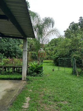 Terreno 2.563m² Vila São José | Área Ampla para Condomínio