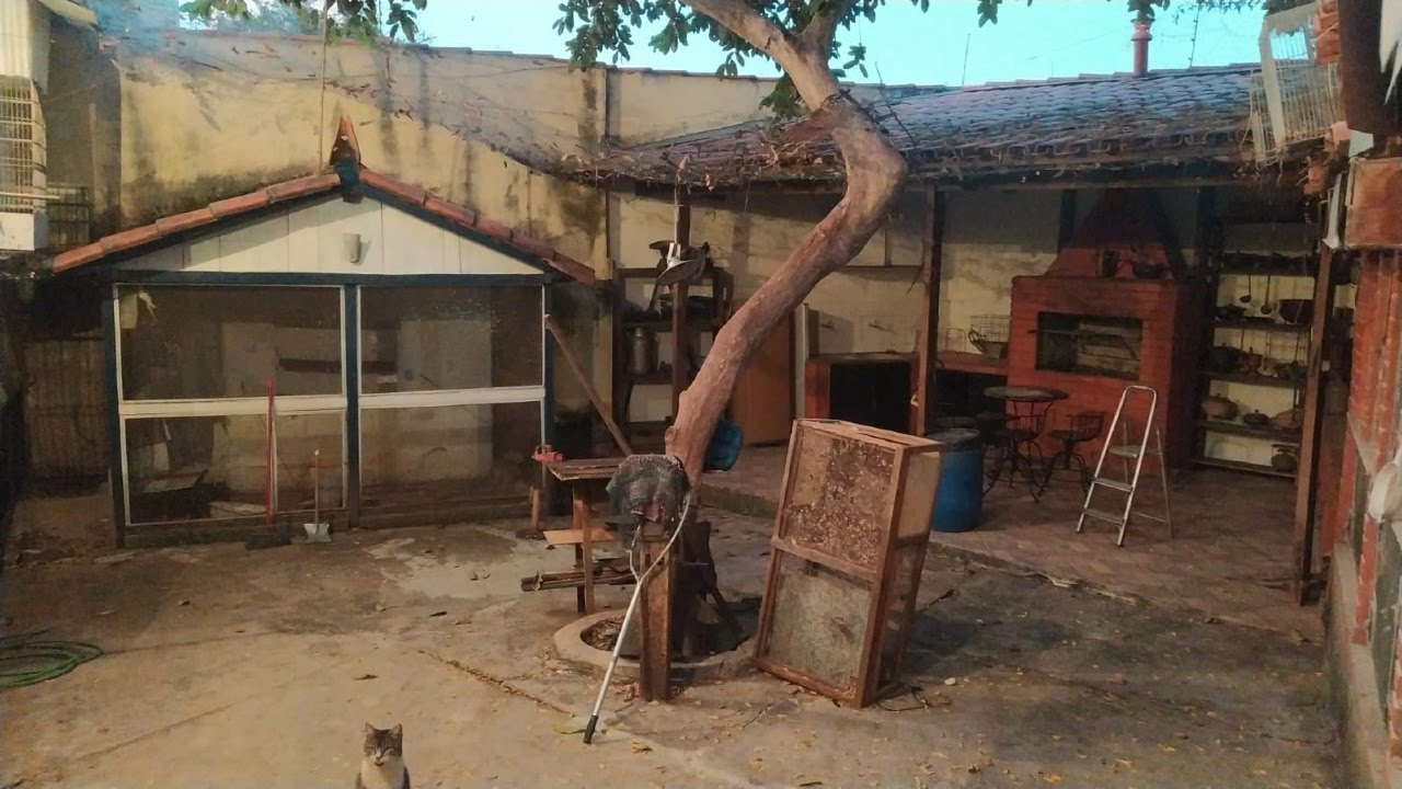 Casa à venda com 3 quartos, 1 banheiro, 3 vagas e 275m² no Santa Branca, Belo Horizonte (MG) — foto 6 de 22