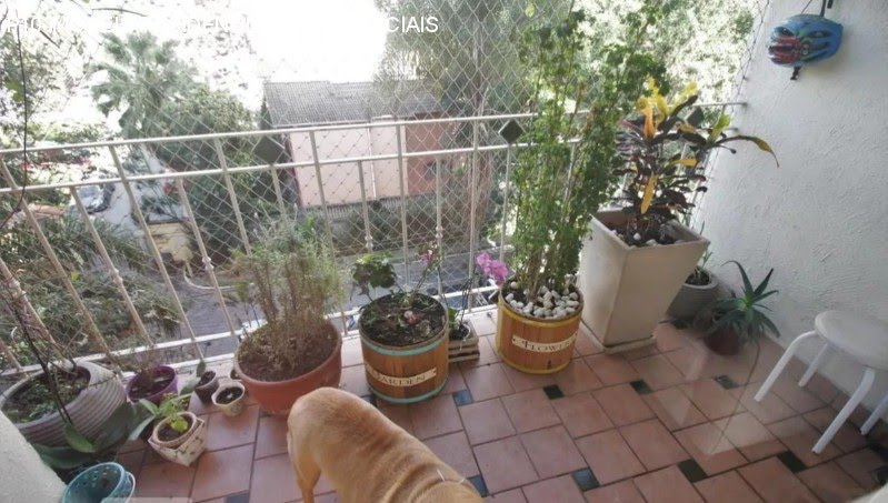 Foto 01