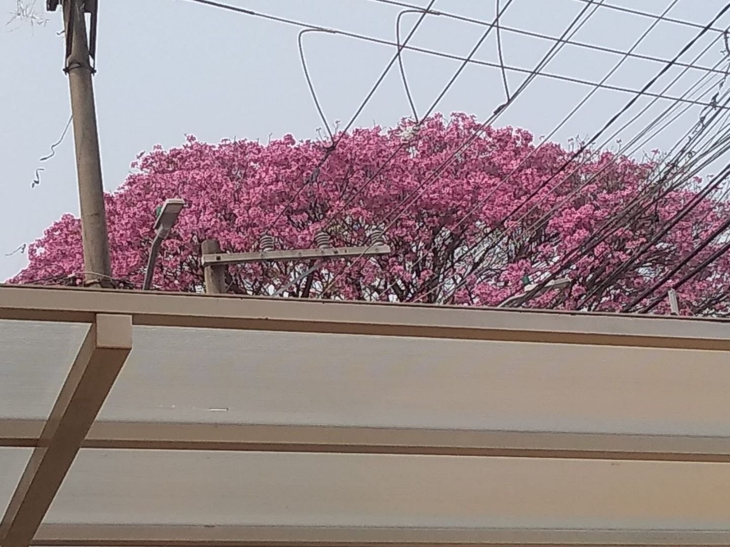 Sobrado, 2 quartos, 85 m² - Foto 8