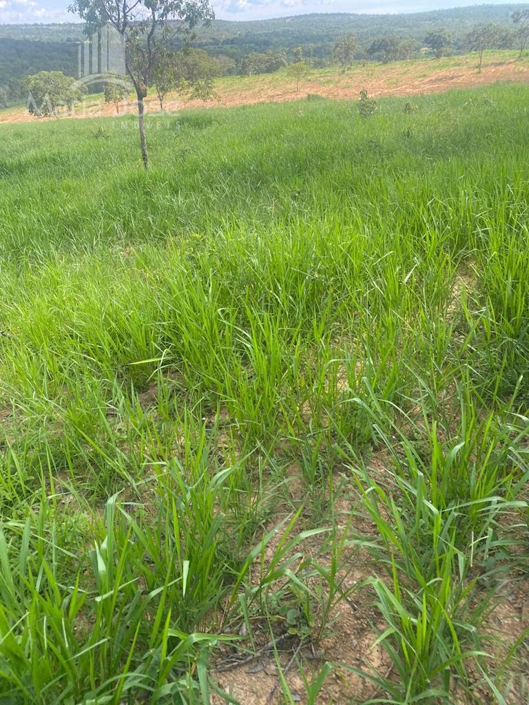 Rural à venda com 8930000m² de terreno no Zona Rural de Três Marias, Três Marias (MG) — foto 29 de 30