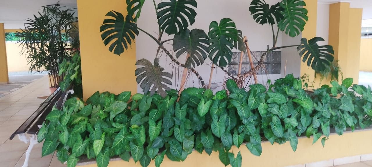 Apartamento à venda com 3 quartos, 3 banheiros, 2 vagas e 176m² no Itaguá, Ubatuba (SP) — foto 3 de 13