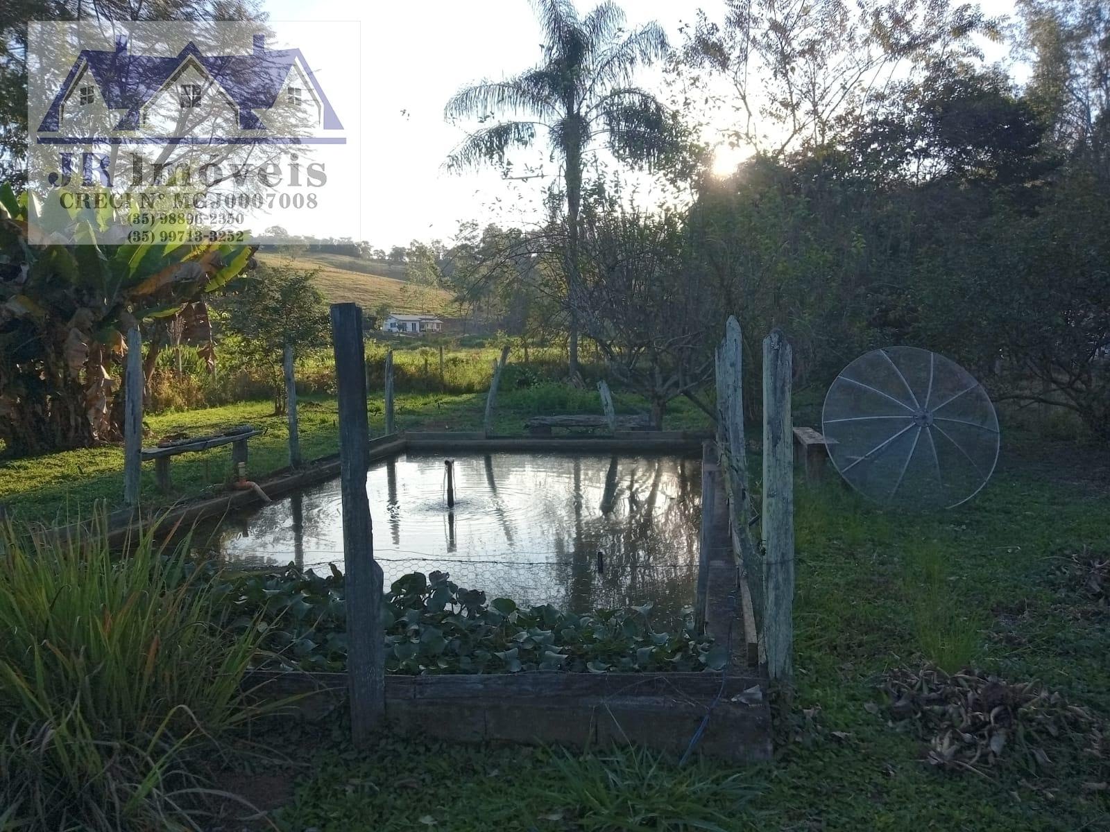 Rural à venda com 2000m² de terreno no Serrinha, Piranguinho (MG) — foto 29 de 30
