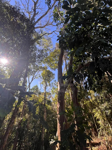 Terreno Amplo – Bairro Lençol, São Bento do Sul, SC