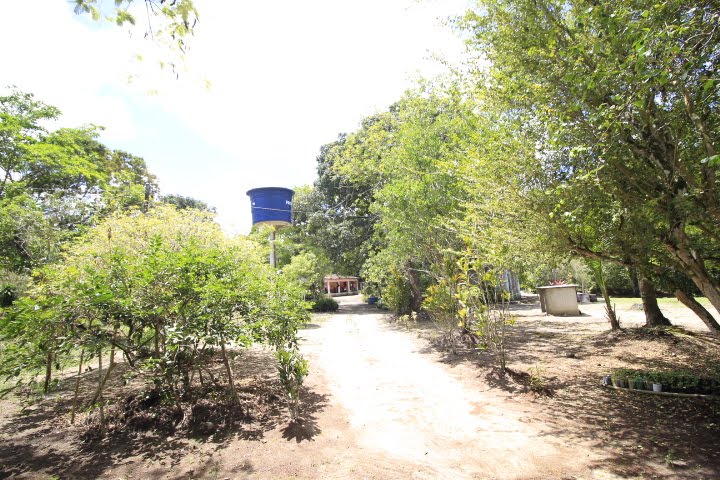 Rural à venda com 80000m² de terreno no Monjope, Igarassu (PE) — foto 8 de 30