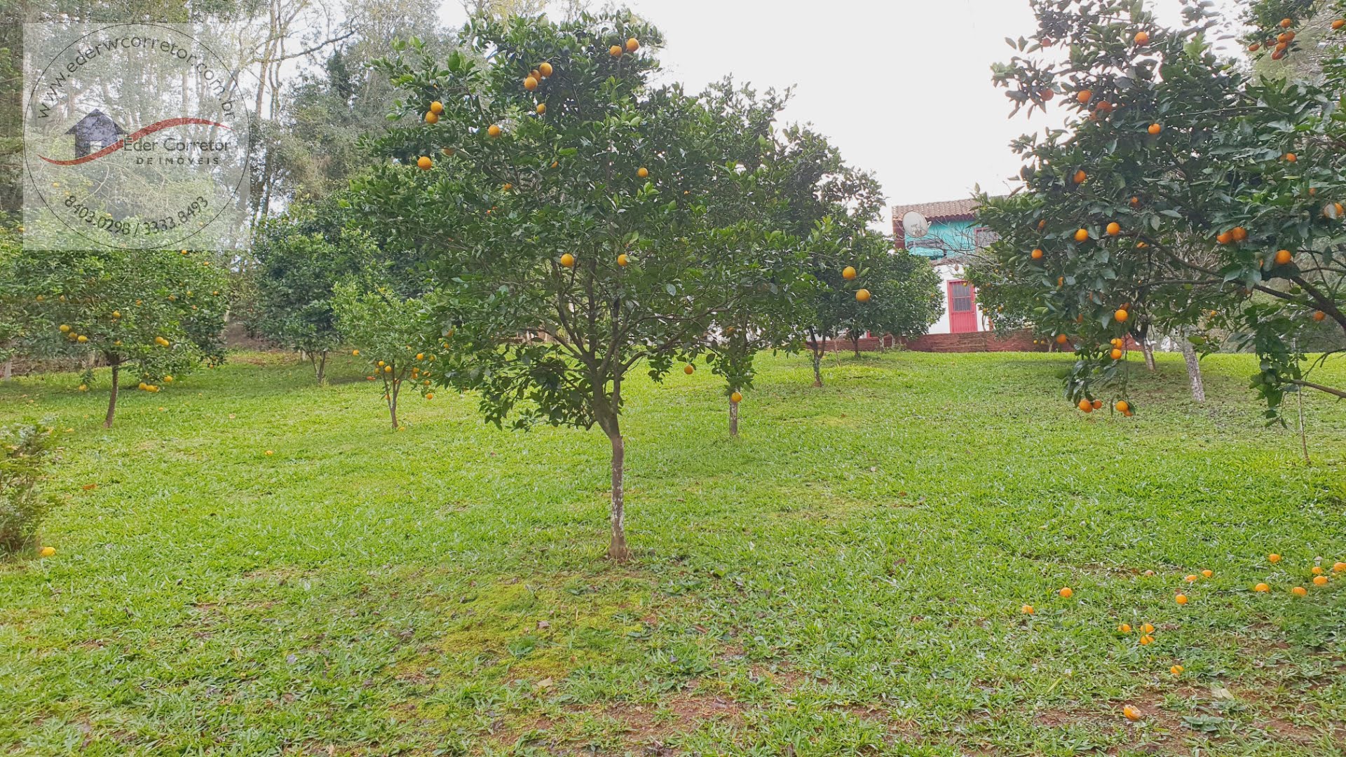 Rural à venda com 3200m² de terreno no Interior, Ijuí (RS) — foto 8 de 16