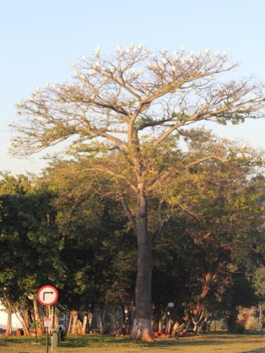 Foto 07