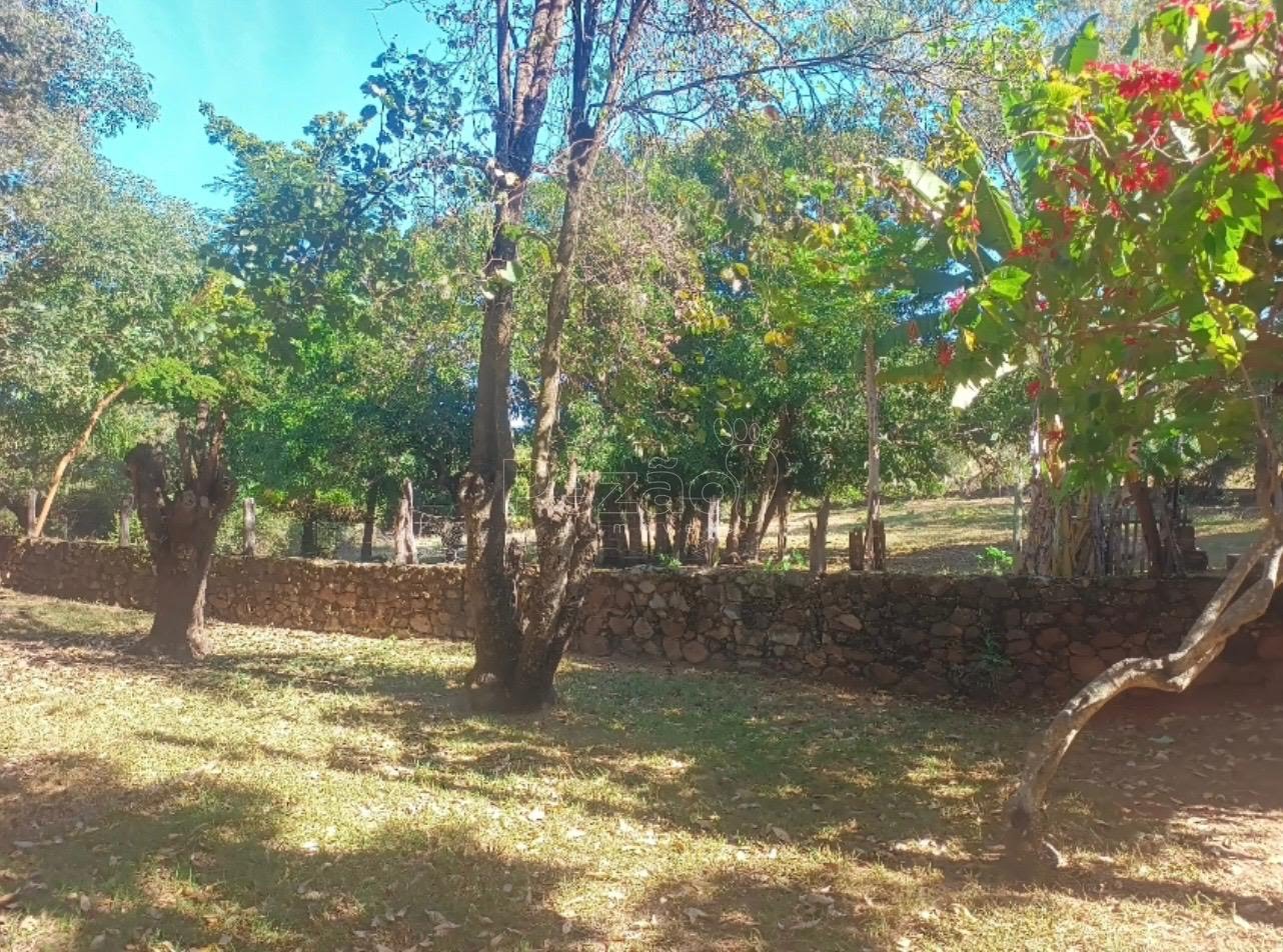 Rural à venda no Imóvel Rural, Itapuranga (GO) — foto 6 de 30
