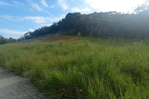 Lote / Terreno em Sertão do Maruim  -  São José