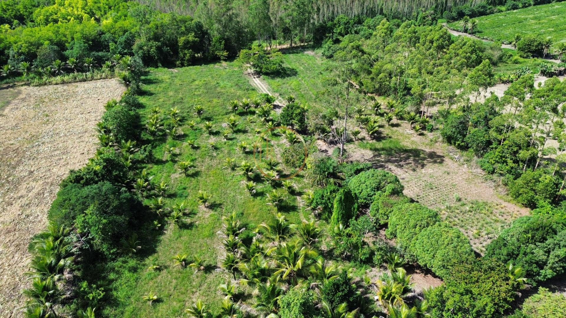 Rural à venda com 35000m² de terreno no Br367, Porto Seguro (BA) — foto 13 de 17