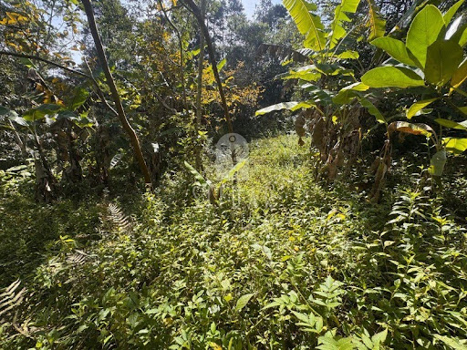 Foto 05