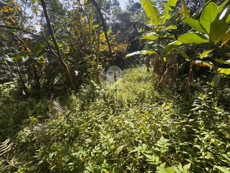 Foto 05