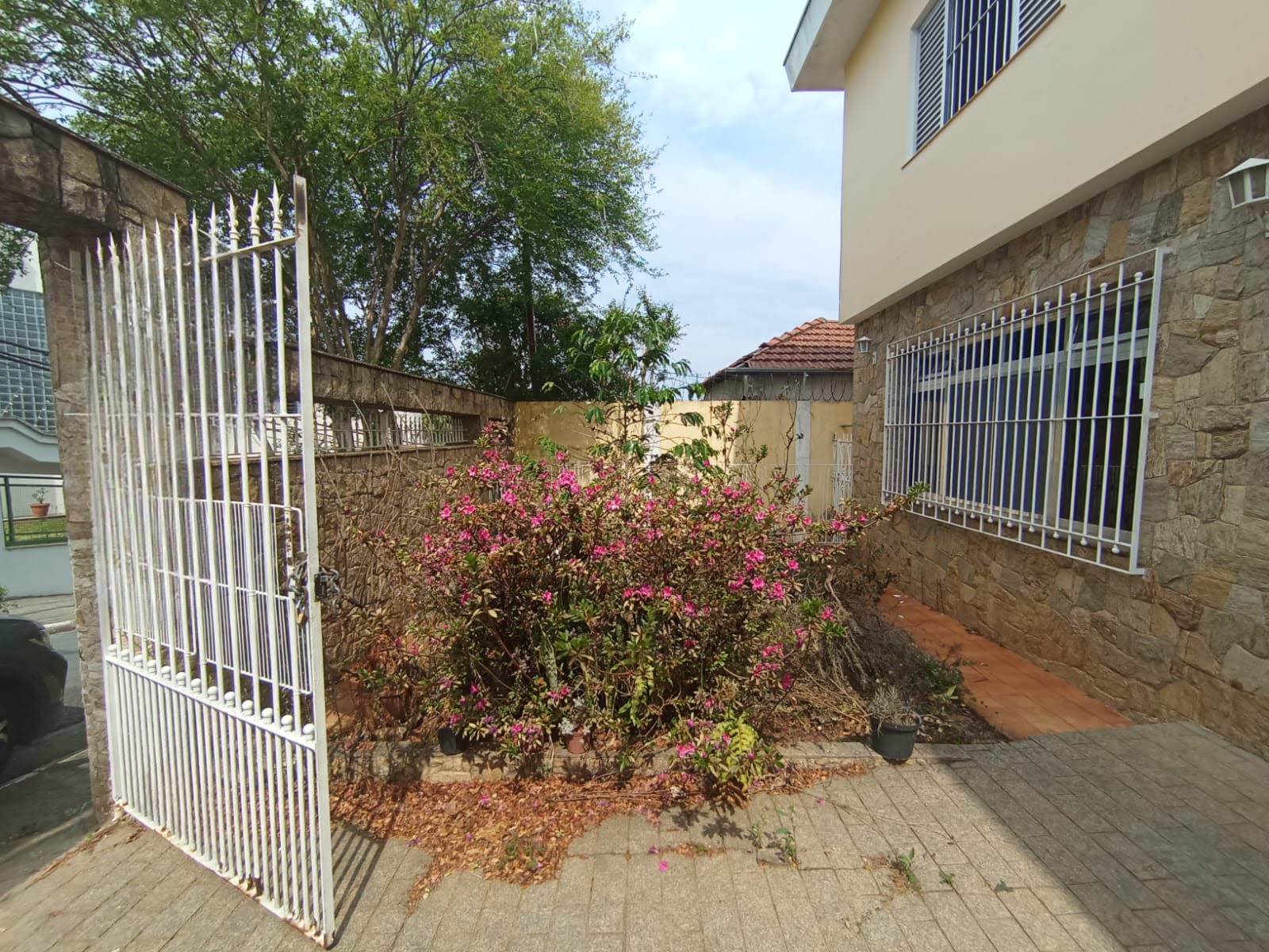 Apartamento à venda com 3 quartos, 3 banheiros, 3 vagas e 250m² no Vila Pereira Barreto, São Paulo (SP) — foto 2 de 30