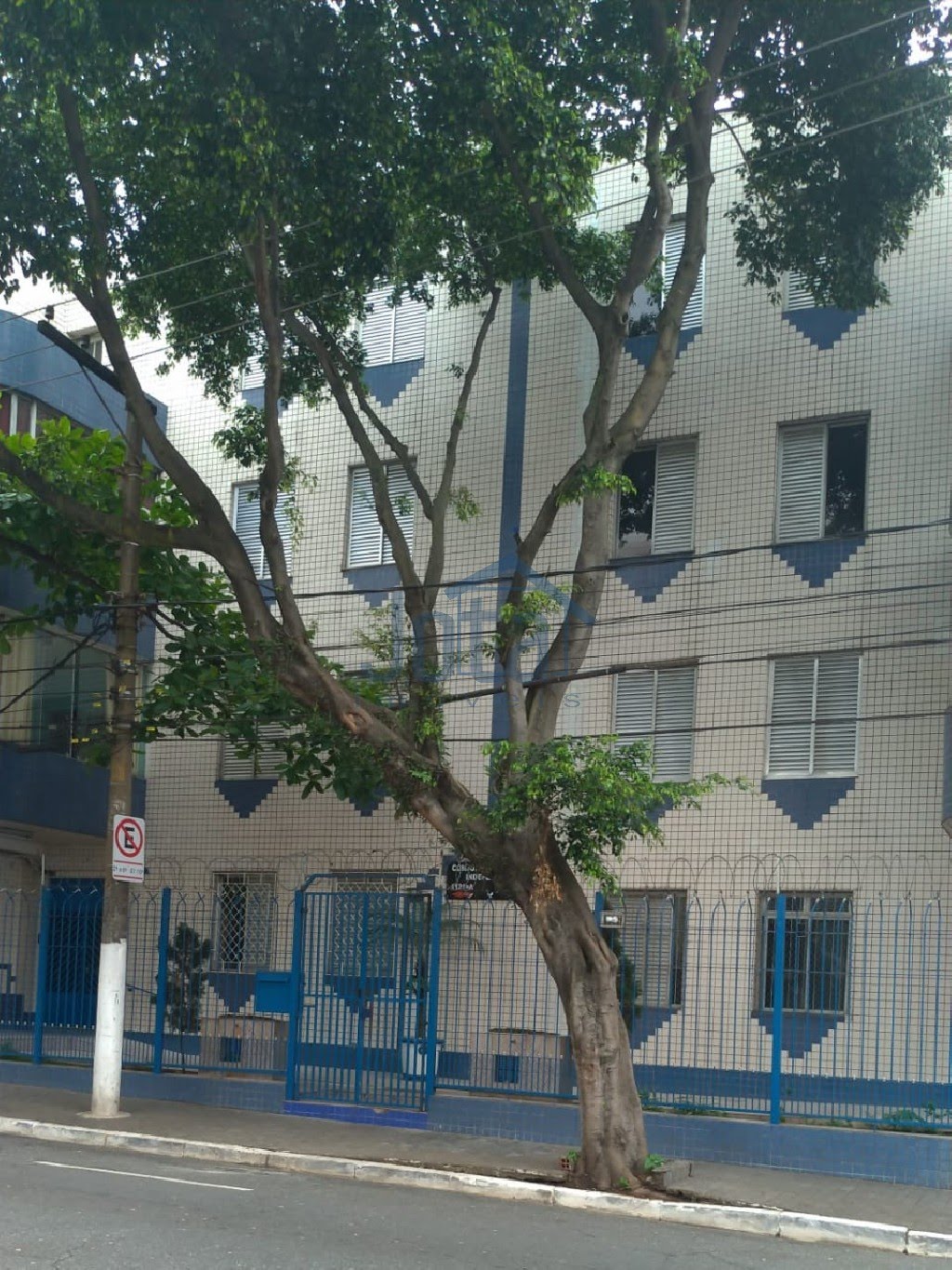 Foto 01