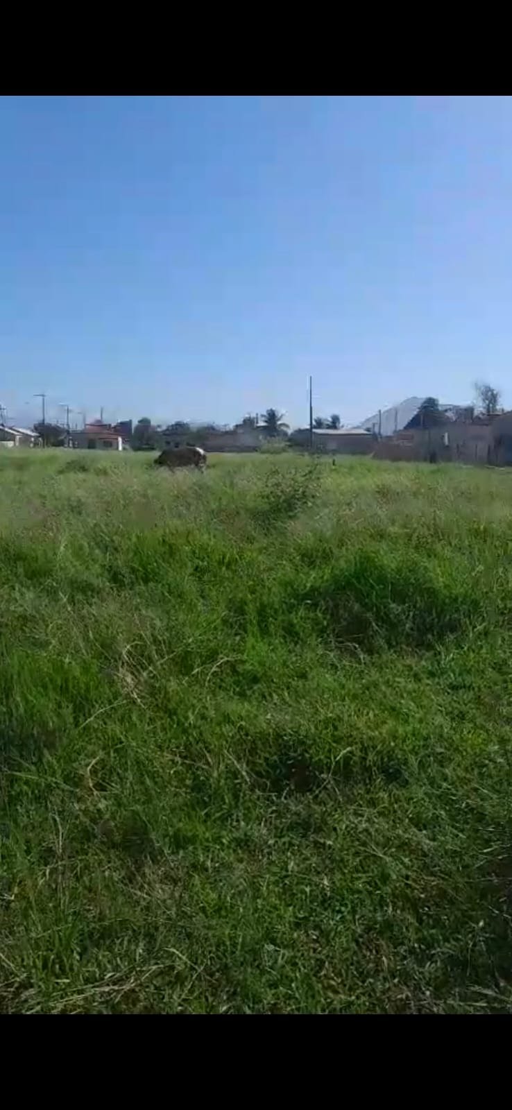 terreno 420 m2 Bougavlle lll