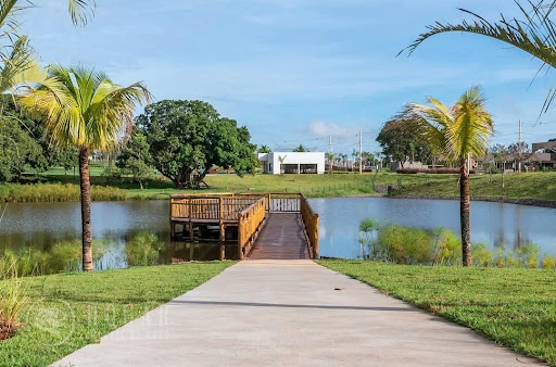 Terreno à Venda em Trindade-GO por R$340.000 | Oportunidade