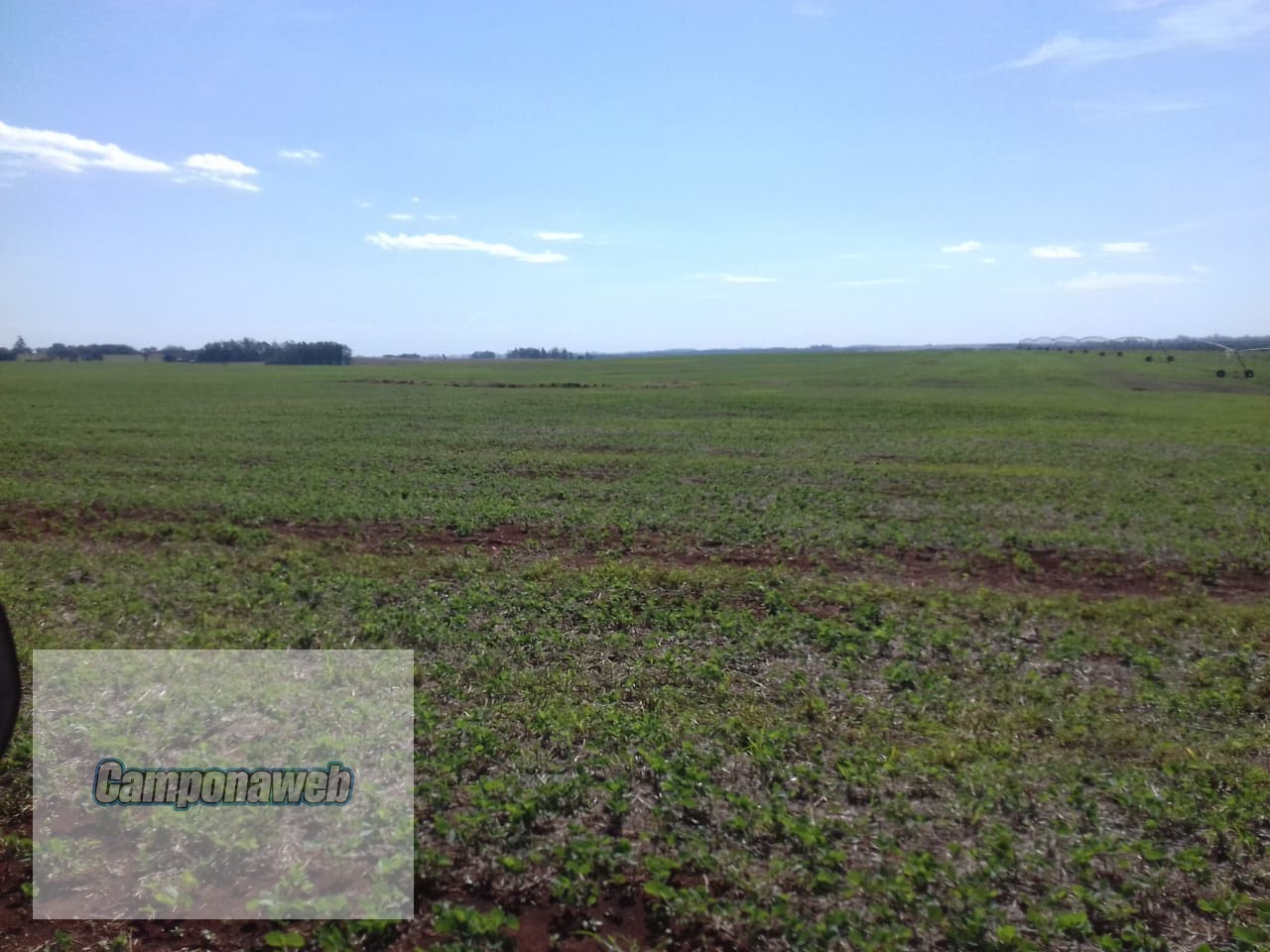Área agricultável