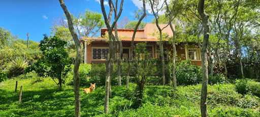 VENDE-SE MARAVILHOSA CHÁCARA ECOLÓGICA EM PIRANGUINHO MG 