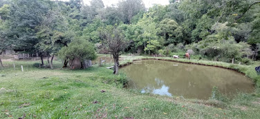 Sítio/chácara com casa em Boa Vista do Sul, RS