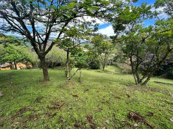 Rural à venda com 45000m² de terreno no Ratones, Florianópolis (SC) — foto 11 de 11