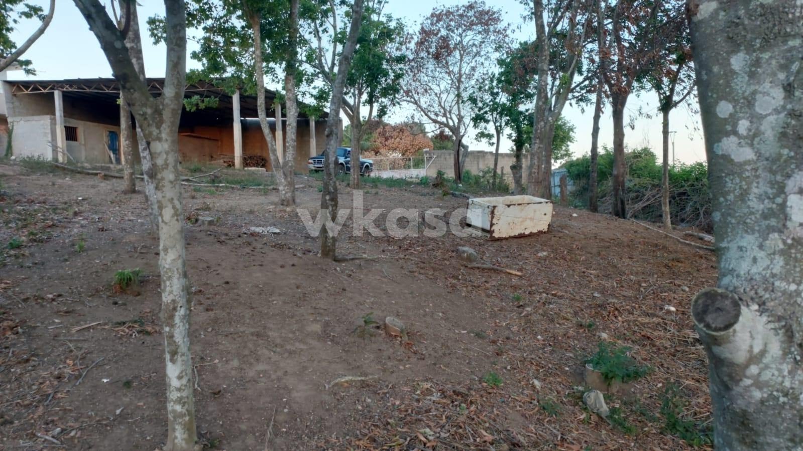Terreno à venda no Direção, Fundão (ES) — foto 4 de 15