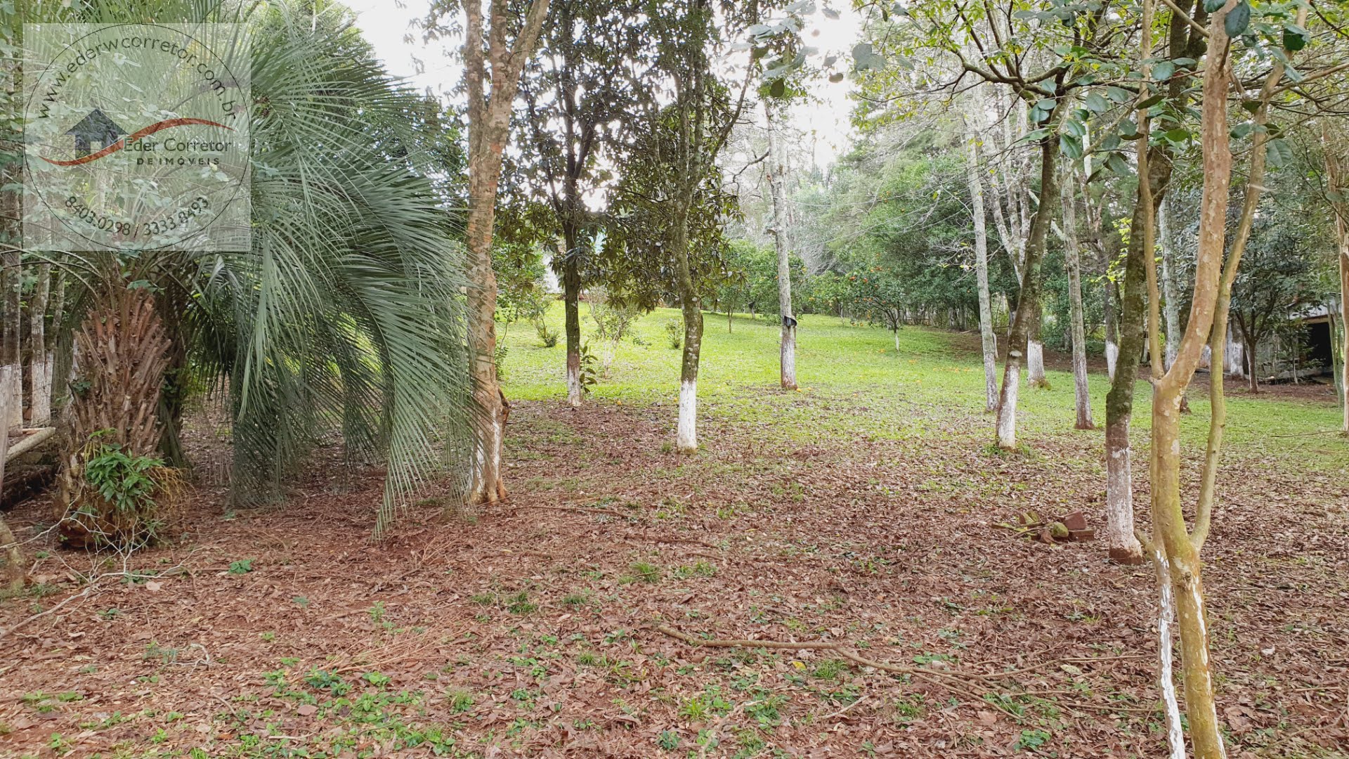 Rural à venda com 3200m² de terreno no Interior, Ijuí (RS) — foto 12 de 16