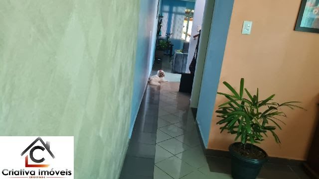 Foto 02