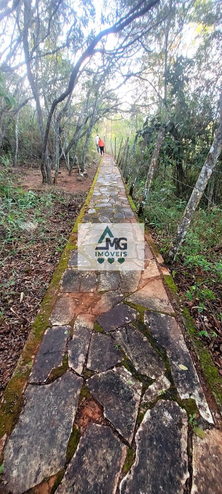 Rural à venda com 290000m² de terreno no Zona Rural São Tomé das Letras, São Thomé das Letras (MG) — foto 6 de 21