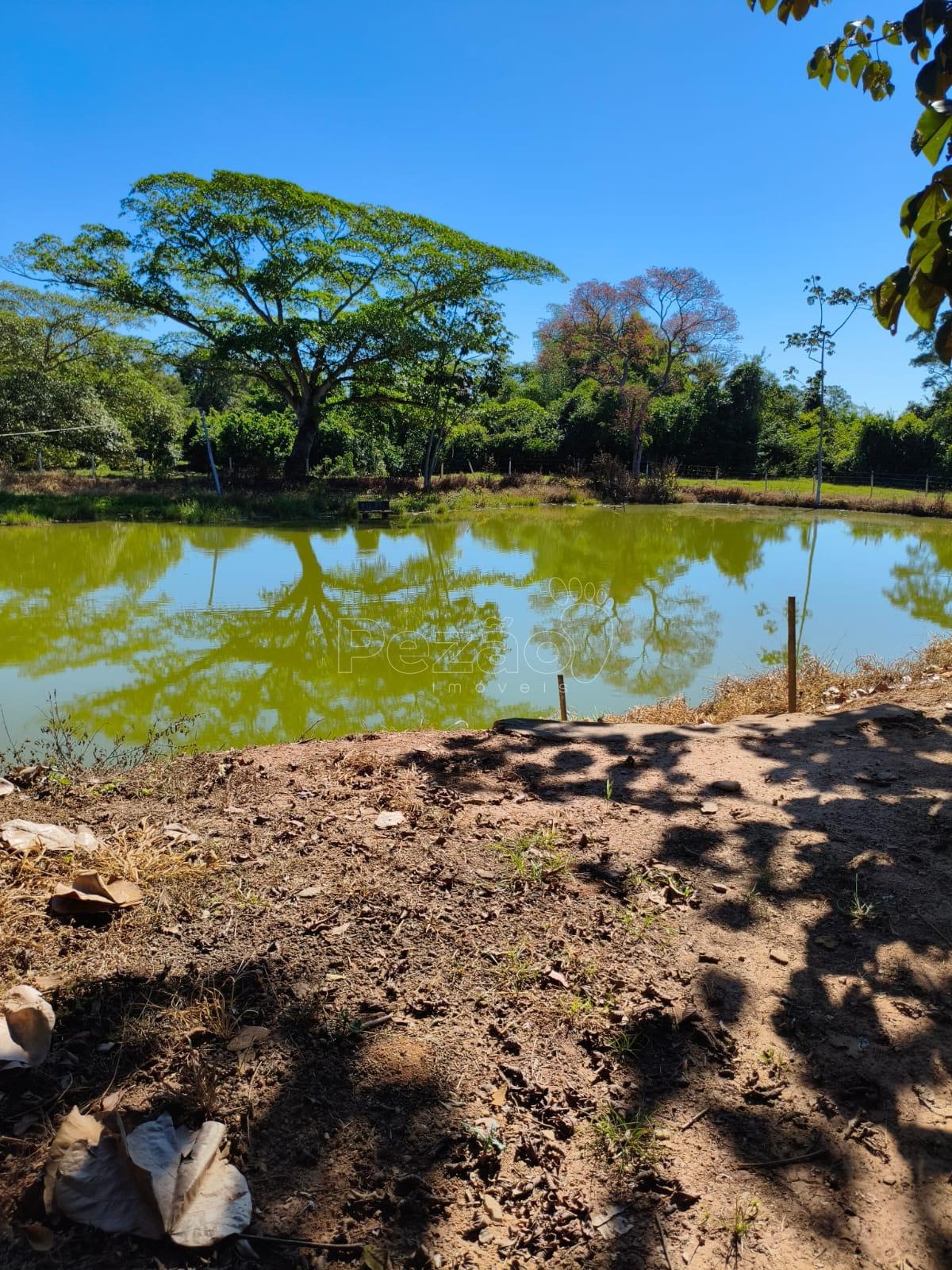Chácara - Foto 11