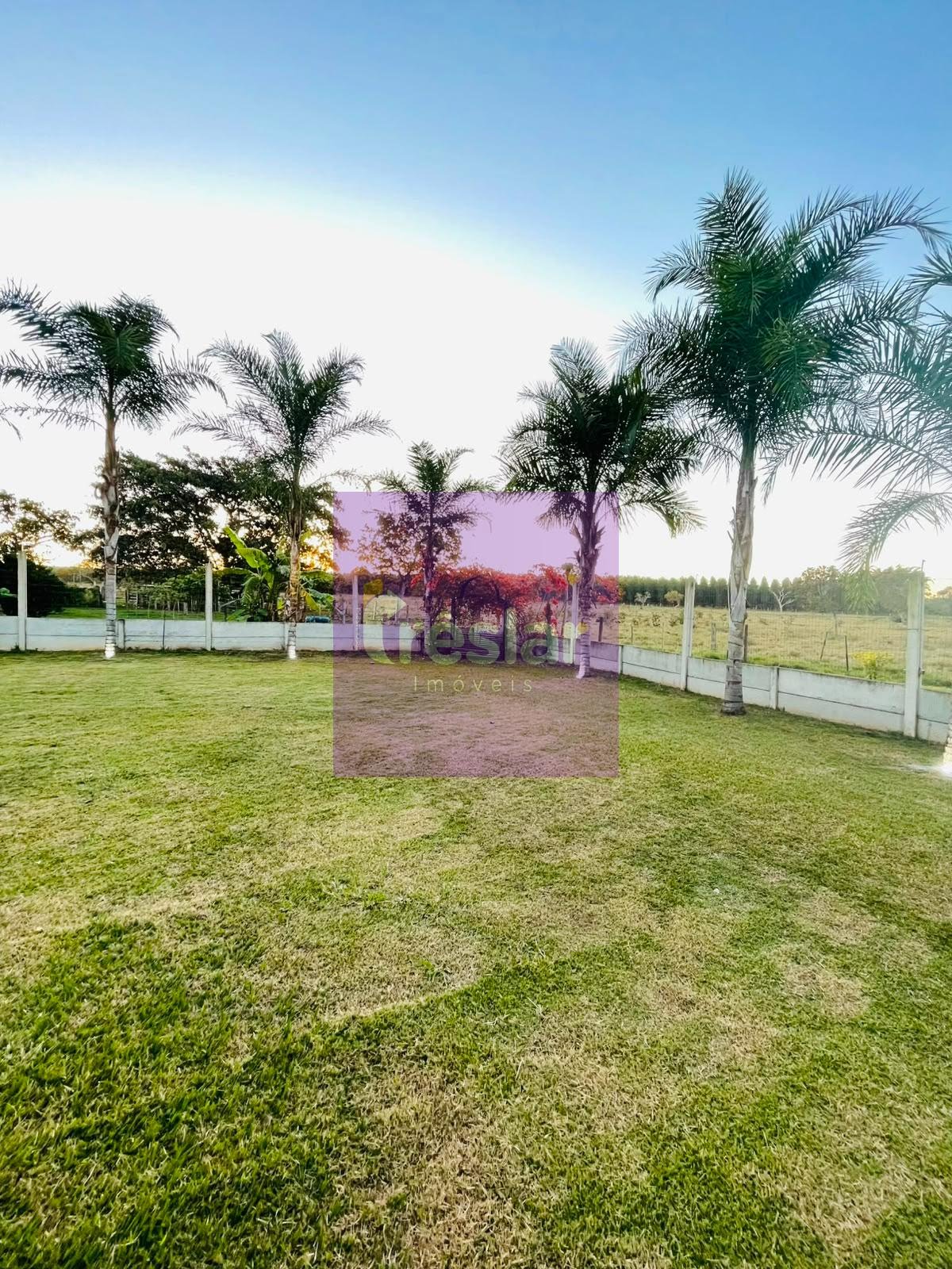 Terreno à venda com 15000m² de terreno no Rancho, Três Lagoas (MS) — foto 23 de 30