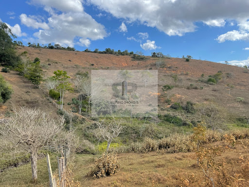 Sítio em Estrada São Diniz  -  Cataguases