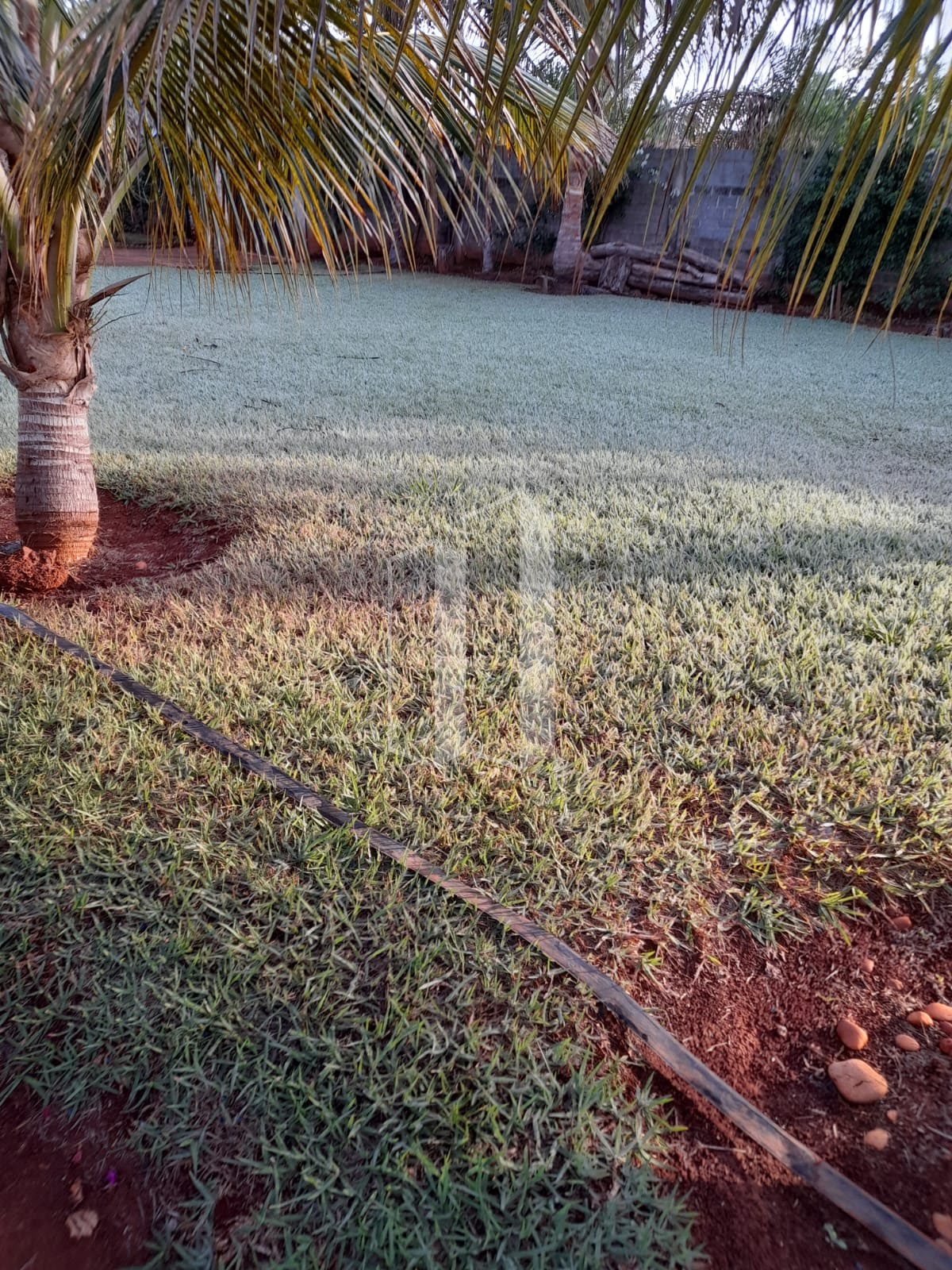 Rural à venda com 1000m² de terreno no Chácaras Vargem Bonita II, Senador Canedo (GO) — foto 14 de 23